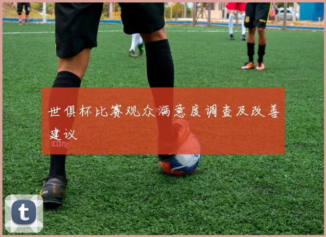 世俱杯比赛观众满意度调查及改善建议